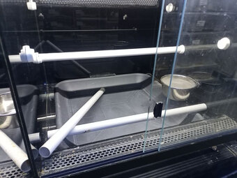Terarium - 2