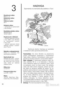 S batôžkom po Turci - 2