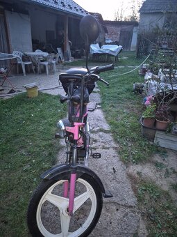 Predam manet korado - 2