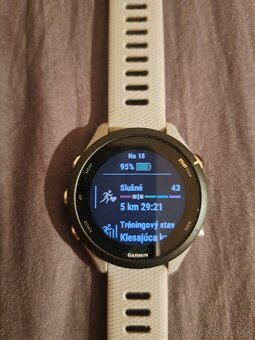 Garmin Forerunner 255S Powder Grey - 2