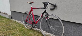 Dema Vittaro - Cestný bicykel (Racing Collection) - 2