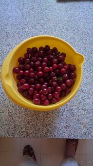 Predám višne - 2