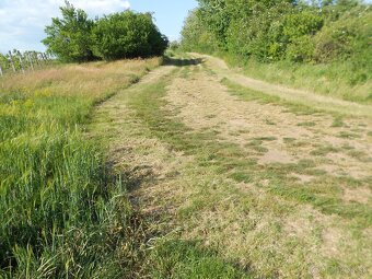 predam 4 pozemky a VinDomček s pozemkom, Vráble ,Žitavce - 2
