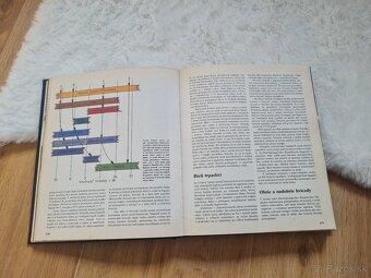 Obloha na dlani - Eduard Pittich, Dušan Kalmančok - 2