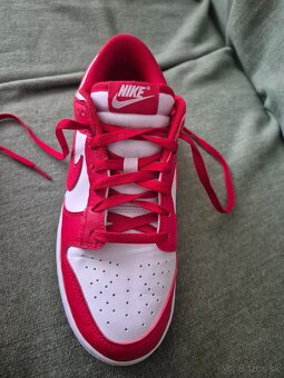 Nike Dunk Next nature - 2