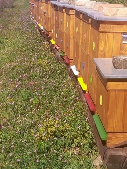 Včely, odložence - 2