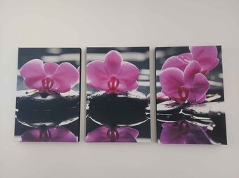 Obraz na platne orchidea 120x60cm - 2