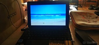Maly Asus - 2