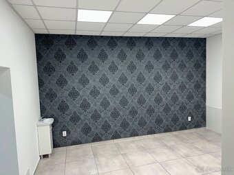 Prenájom podnikateľského priestoru - 2