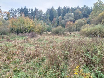 PREDAJ VEĽKÝ STAVEBNÝ POZEMOK BYTĆA VHODNÝ PRE DEVELOPERA - 2