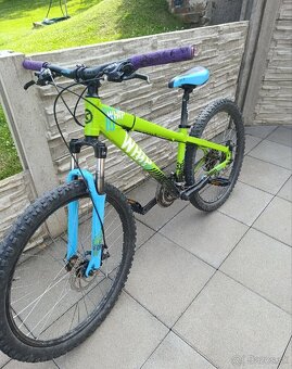 Kellys whip - 2