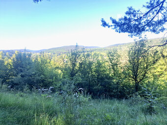 IBA U NÁS Pozemok 1,8 ha na okraji Púchova, Vieska-Bezdedov - 2