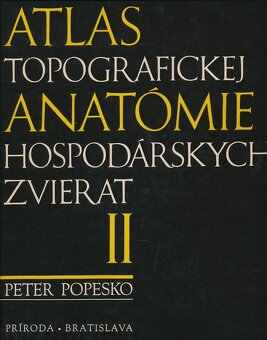 Atlasy a skriptá - 2