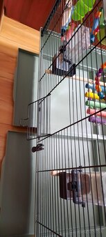 Klietka pre vtáčiky XXL - 2