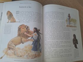 Ilustrovaná Biblia rok 1994 - 2