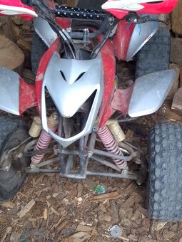 ATV125pitbeke - 2