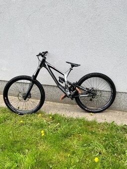 Kellys noid 70 - 2