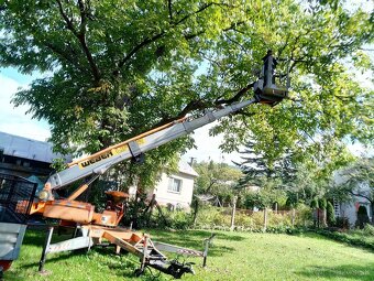 Orez a pílenie nebezpečných stromov - 2