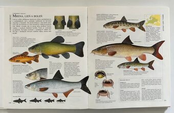 RYBÁRSTVO / RYBÁRENIE - 2