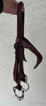 Westernova uzdecka - 2