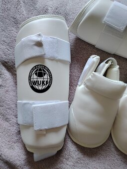 Chrániče na karate - 2