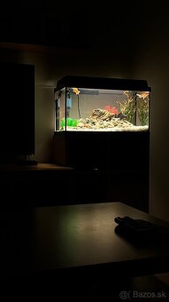 Juwel 54l - 2