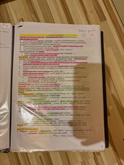 SKRIPTÁ 1. ročník UCM FSV - verejná správa - 2