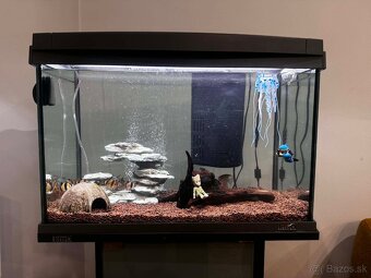 Akvárium 60l - 2