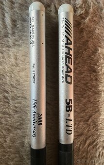 Palicky Ahead 5B LTD limited - 2