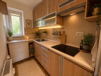 3-IZBOVÝ BYT ISTEBNÉ - 2