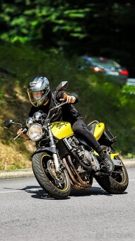 Predam Honda CB600F Hornet - 2