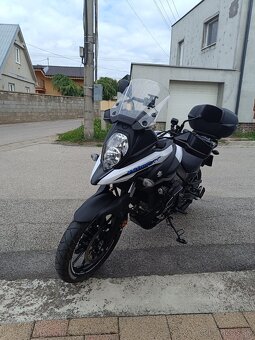 Suzuki v strom - 2