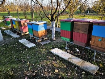 Včelstvo, včely, kompletné príslušenstvo včelára - 2