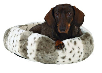 Pelech pre malé zviera - 2