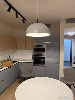 Okruhla zavesna lampa Lodes - 2