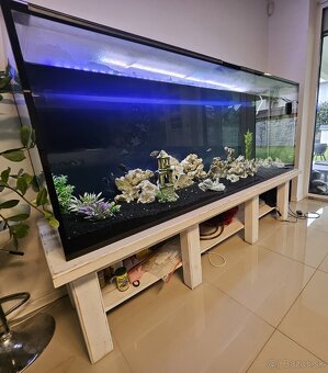 Predam akvarium 1000 litrov - 2