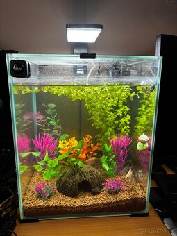Aquarium set - 2