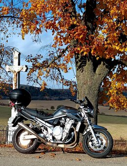Suzuki GSF 650A - 2