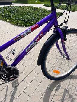 Damsky bicykel - 2