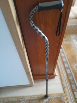 Vychadzkova palica - 2