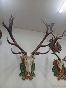 Parozie trofeje zhody - 2