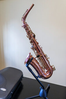 Alt saxofón Buffet Crampon Senzo - 2