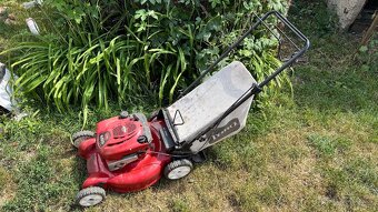 Kosacka Toro 600 - 2