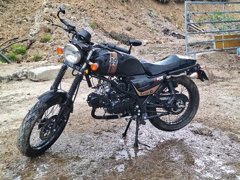 Barton cafe racer 50 L1e - 2