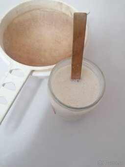 Tibetská huba-kefirové zrna - 2