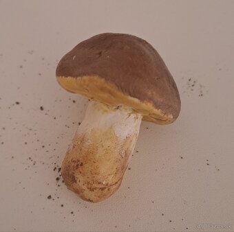 Hríb Dubový (dubák) model - 2