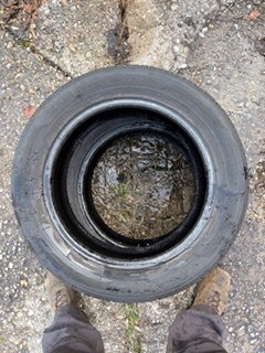 205/55R16 letne Dunlop Sport 2ks - 2