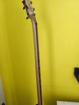 Basgitara Cort - 2