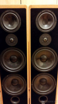 CANTON Ergo 91 DC - 2