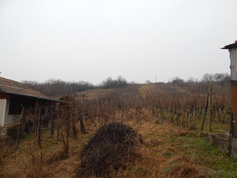 Na predaj viničný domček s vinicami , pivnicou v Strekove . - 2